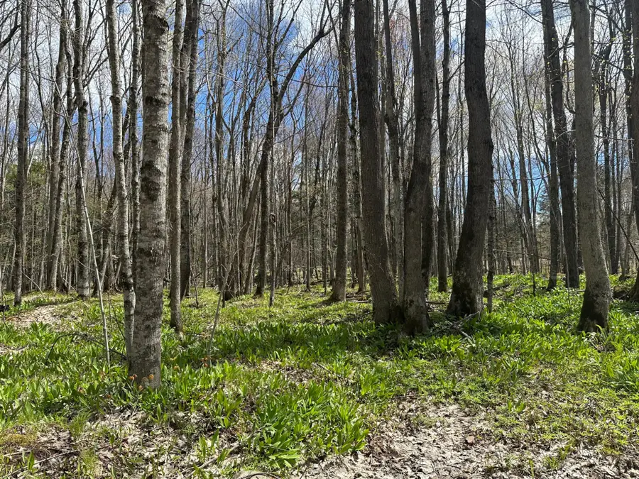 Lot 3 Shore Rd E, Marenisco, MI 49947 - #3