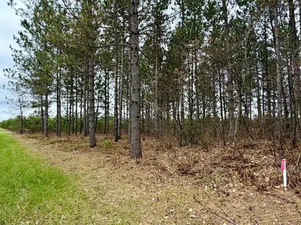 2325 Lund Rd, Harshaw, WI 54529
