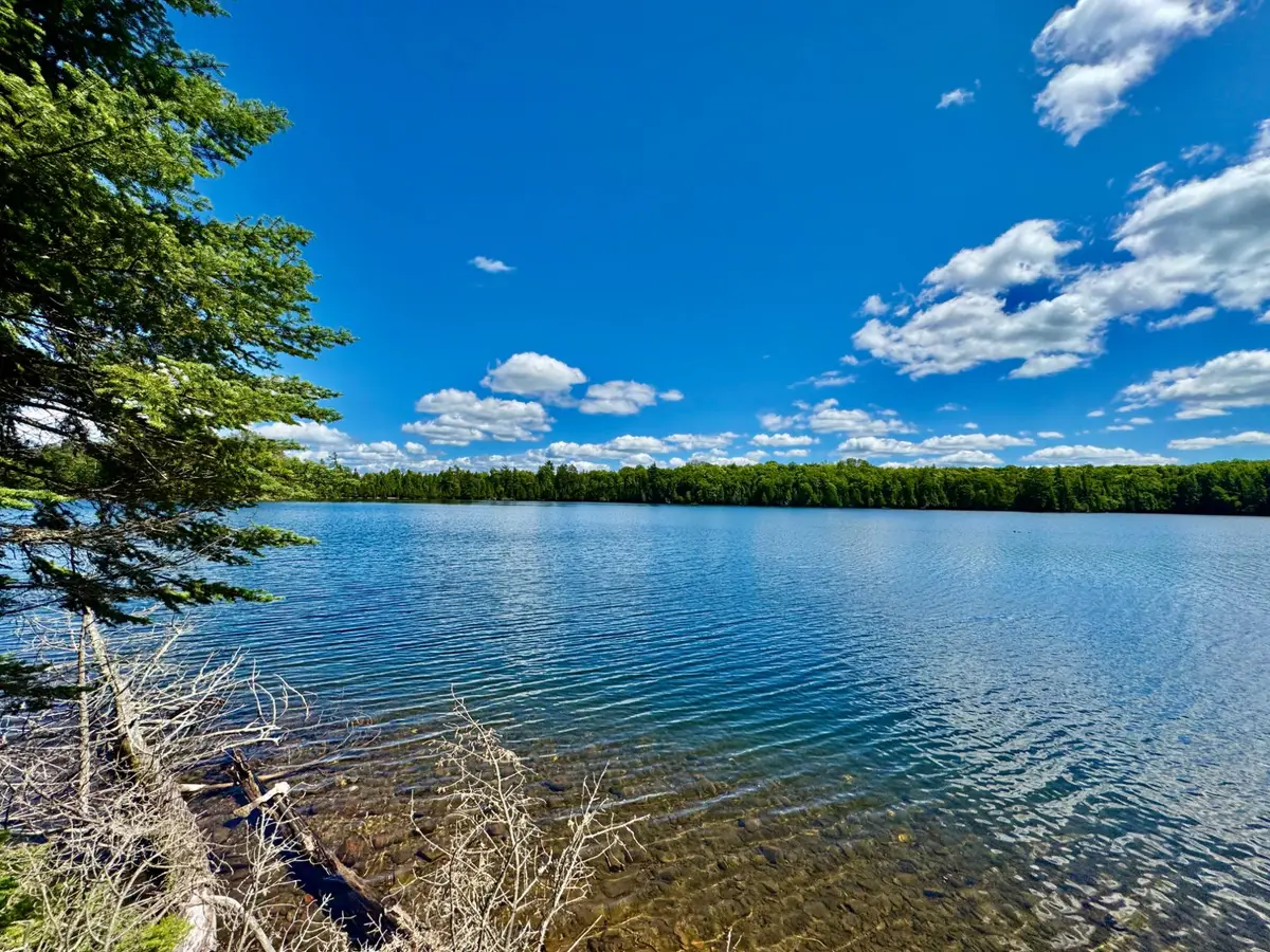 ON Beatons Lake Rd, Watersmeet, MI 49969 - #1