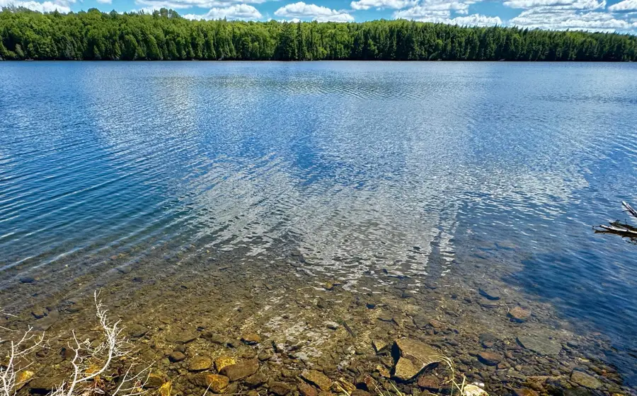 ON Beatons Lake Rd, Watersmeet, MI 49969 - #3