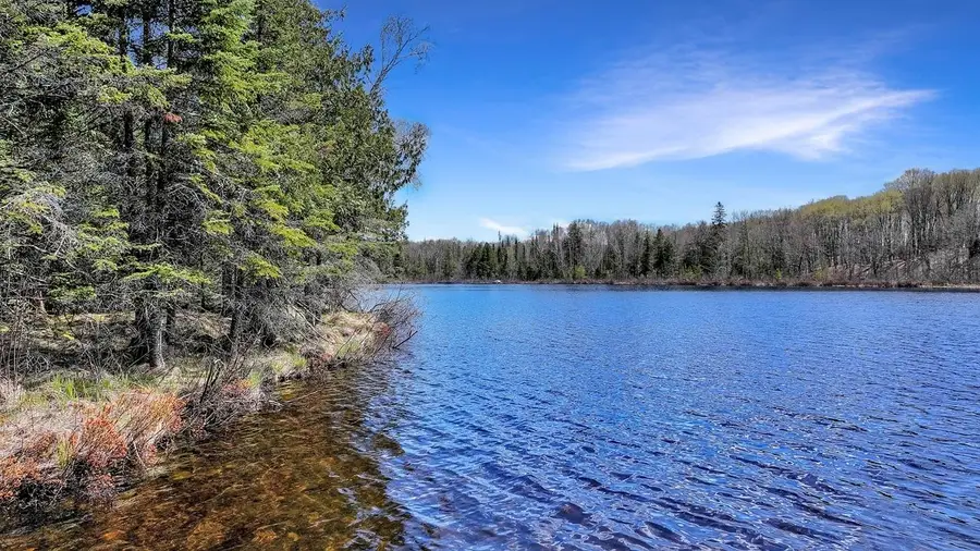 TBD Pardee Lake Ln E, Winchester, WI 54557 - #2