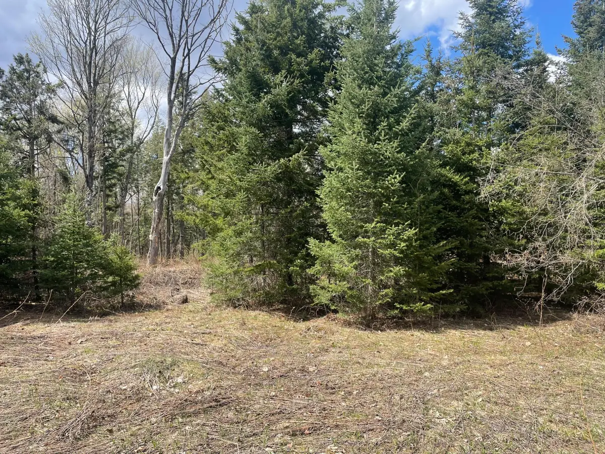81620 Pociask Rd #80+/- A, Butternut, WI 54514 - #1