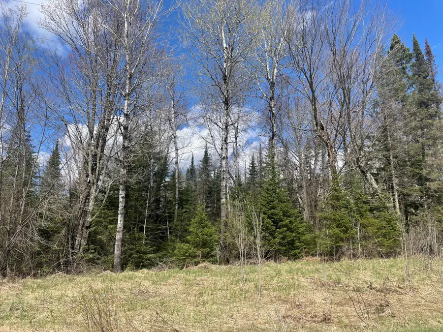 81620 Pociask Rd #80+/- A, Butternut, WI 54514 - #2