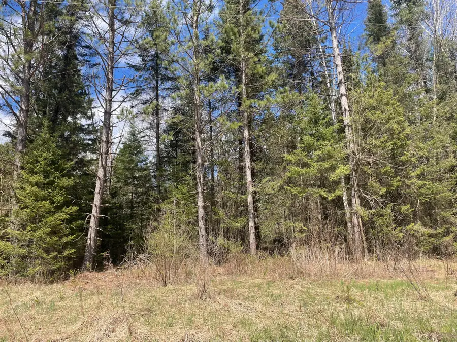 81620 Pociask Rd #80+/- A, Butternut, WI 54514 - #3