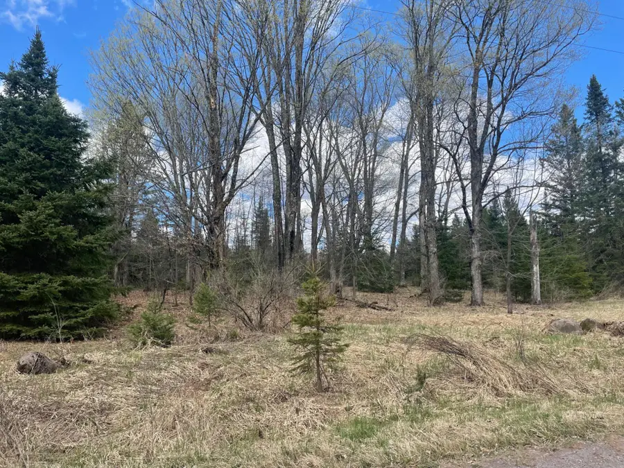 ON Pociask Rd #40+/- A, Butternut, WI 54514 - #2