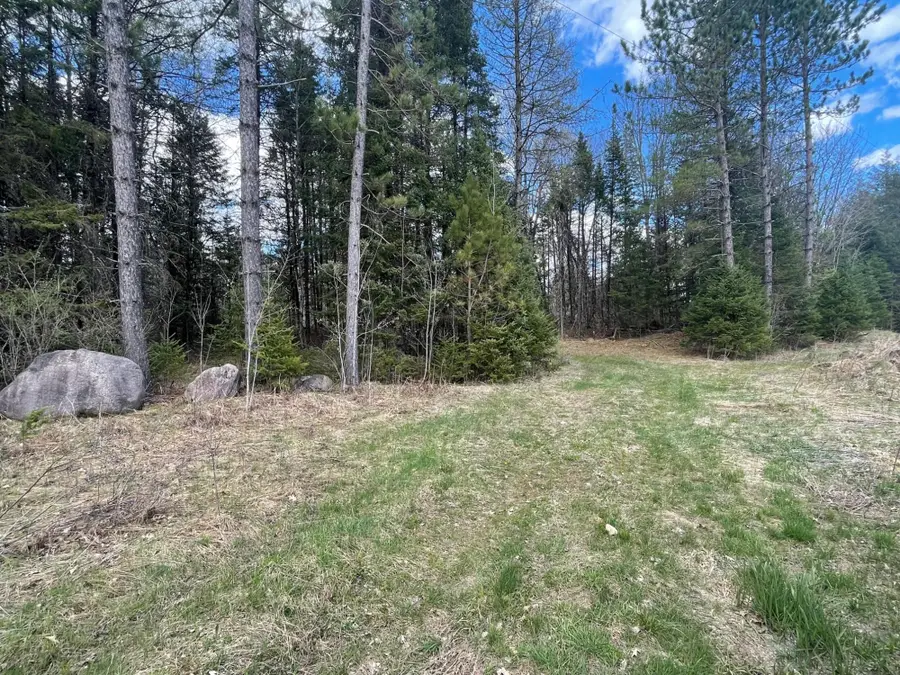 ON Pociask Rd #40+/- A, Butternut, WI 54514 - #3