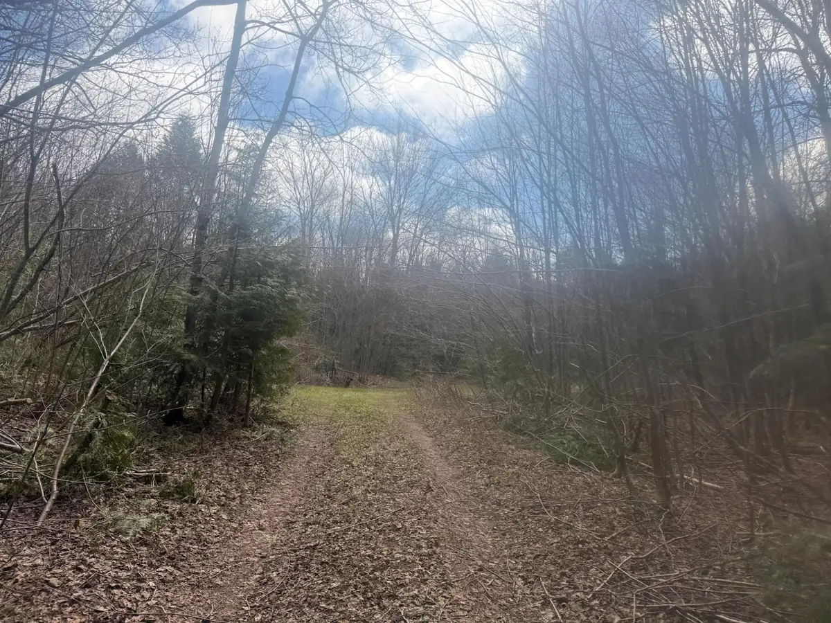 OFF Black River Rd, Bessemer, MI 49911 - #1