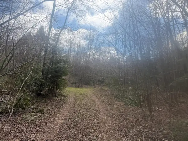 OFF Black River Rd, Bessemer, MI 49911
