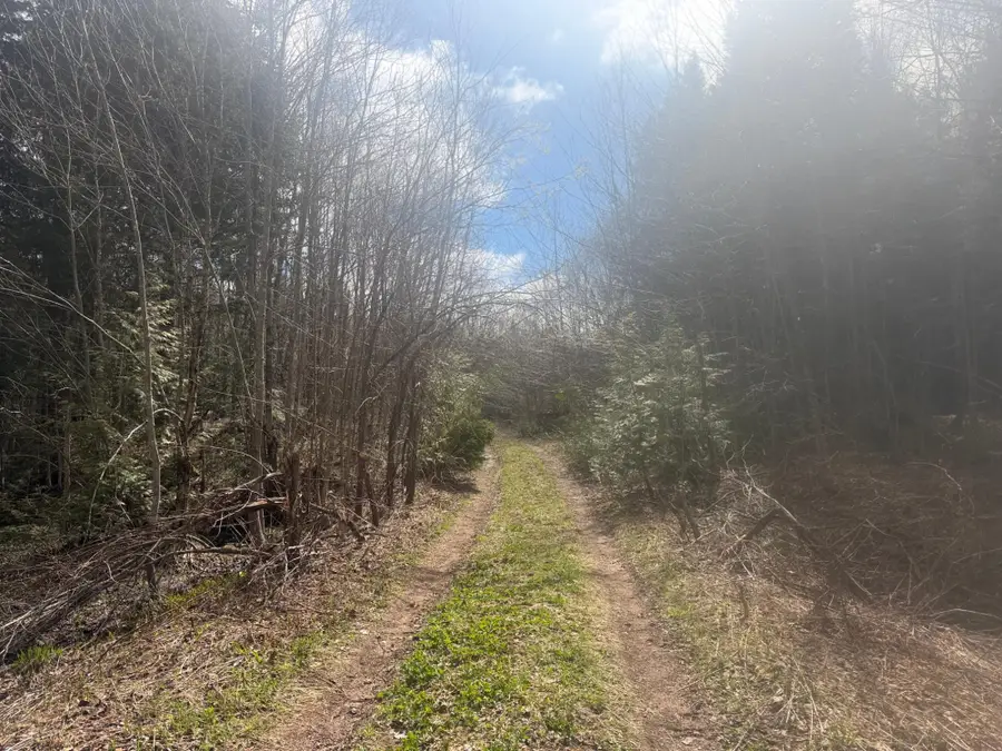 OFF Black River Rd, Bessemer, MI 49911 - #2