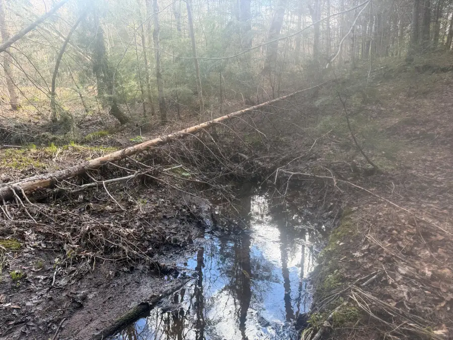 OFF Black River Rd, Bessemer, MI 49911 - #3