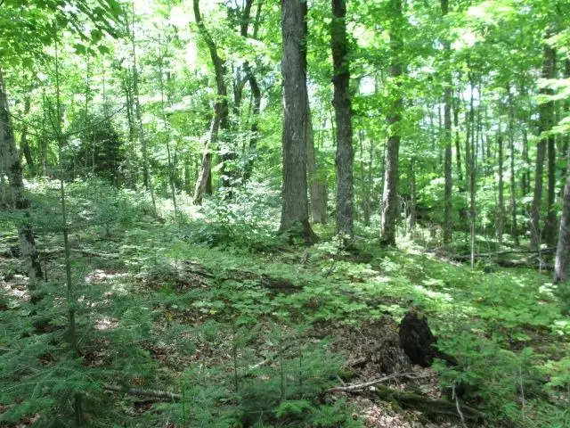 Lot 3 Fisher Lake Rd E, Mercer, WI 54547 - #2