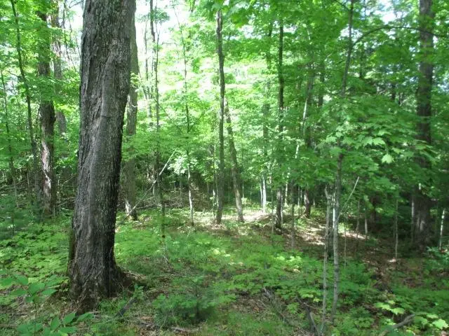 Lot 3 Fisher Lake Rd E, Mercer, WI 54547 - #3