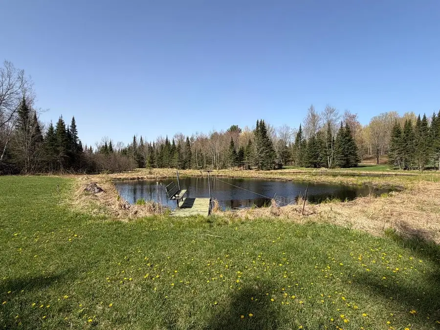 86441 Creamery Rd, Butternut, WI 54514 - #3