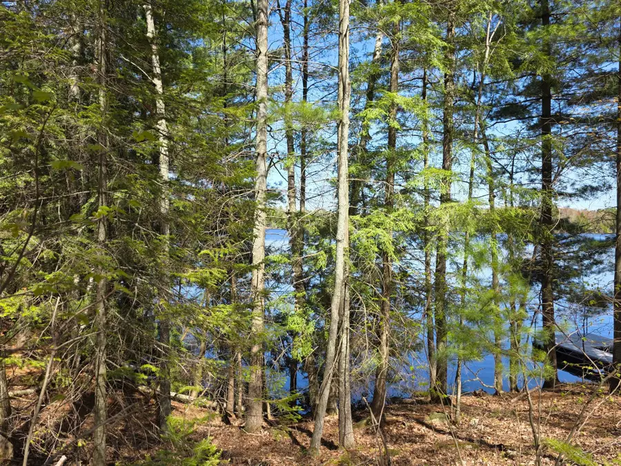 ON Shady Shore Rd E E, Tomahawk, WI 54487 - #2