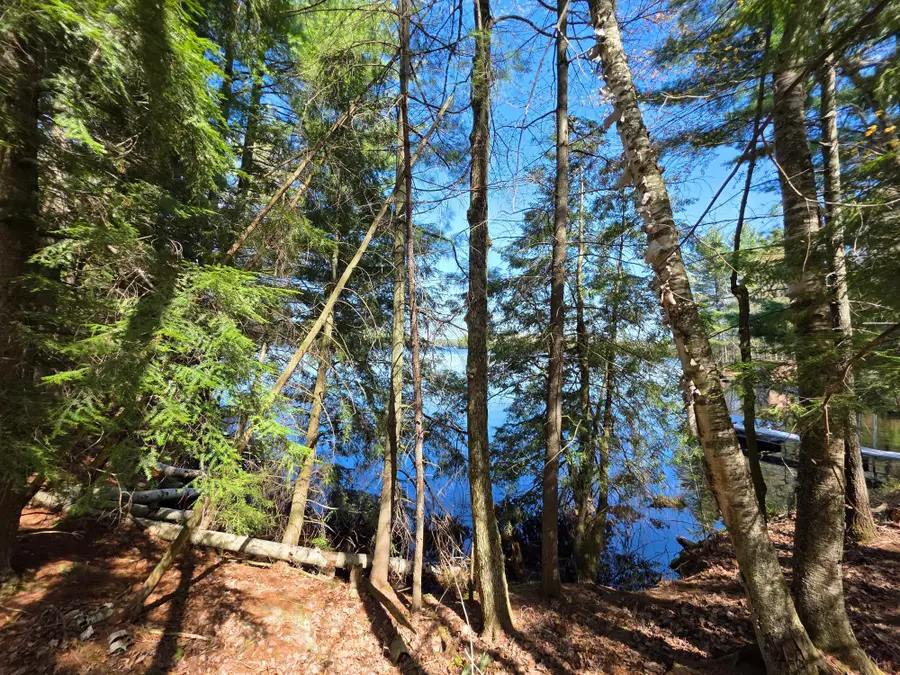 ON Shady Shore Rd E E, Tomahawk, WI 54487 - #3