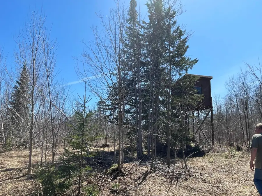 TBD 519 Rd N, Wakefield, MI 81211 - #2