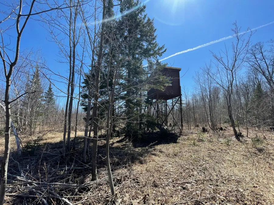TBD 519 Rd N, Wakefield, MI 81211 - #3