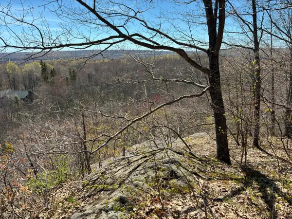 ON Skye Dr #10 Acres, Upson, WI 54565