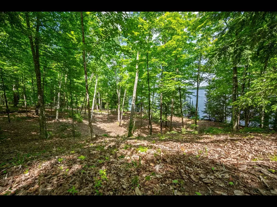 Lot 136 Clearwater Lake Tr, Eagle River, WI 54521 - #3