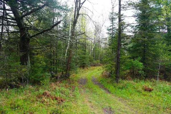 20 Acres Cth X, Gleason, WI 54435