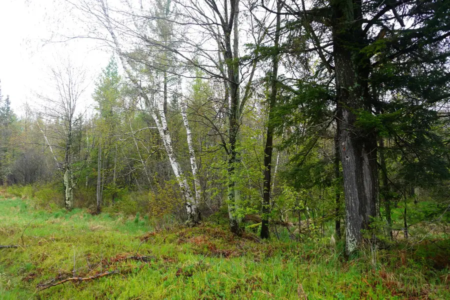 20 Acres Cth X, Gleason, WI 54435 - #2