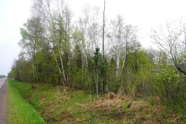 20 Acre Cth X, Gleason, WI 54435