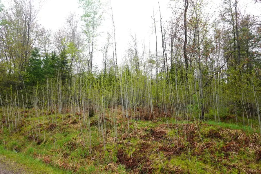 20 Acre Cth X, Gleason, WI 54435 - #2
