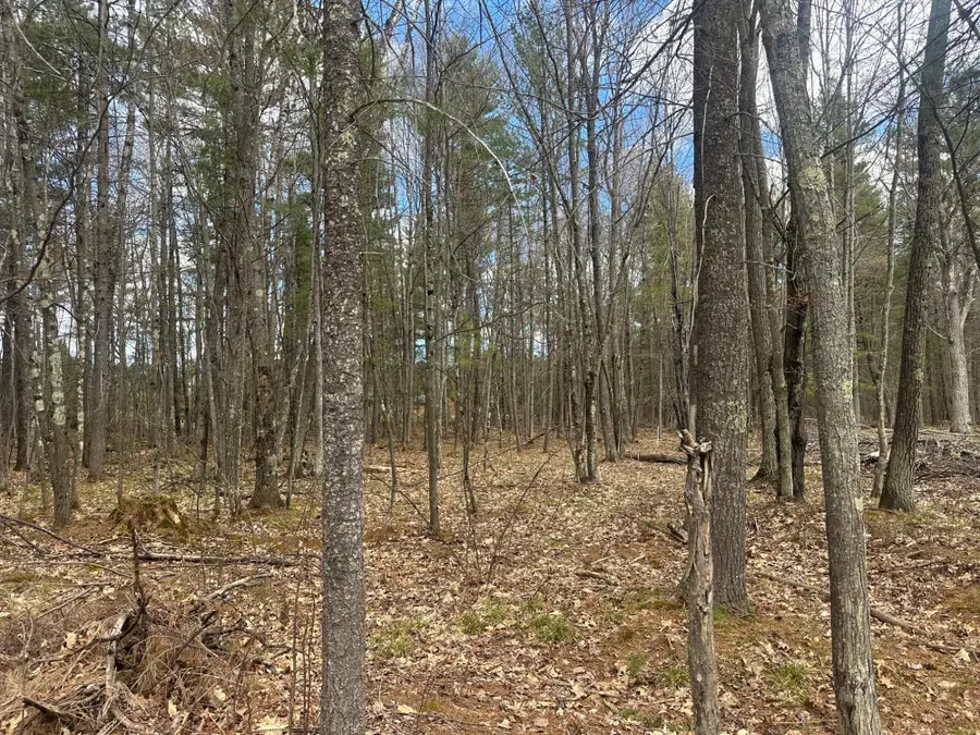 Lot 5 Pine Breeze Way, Eagle River, WI 54521 - #2