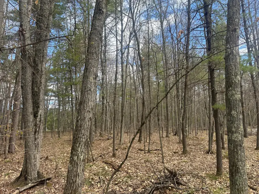 Lot 5 Pine Breeze Way, Eagle River, WI 54521 - #3