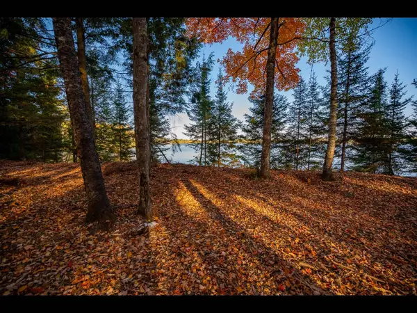 Lot 137 Clearwater Lake Tr, Eagle River, WI 54521