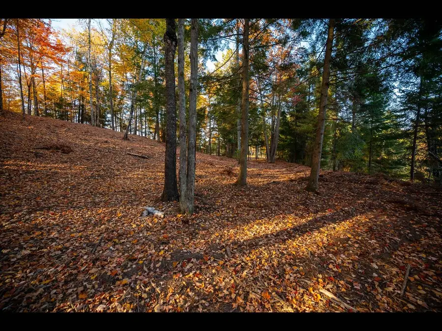 Lot 137 Clearwater Lake Tr, Eagle River, WI 54521 - #3