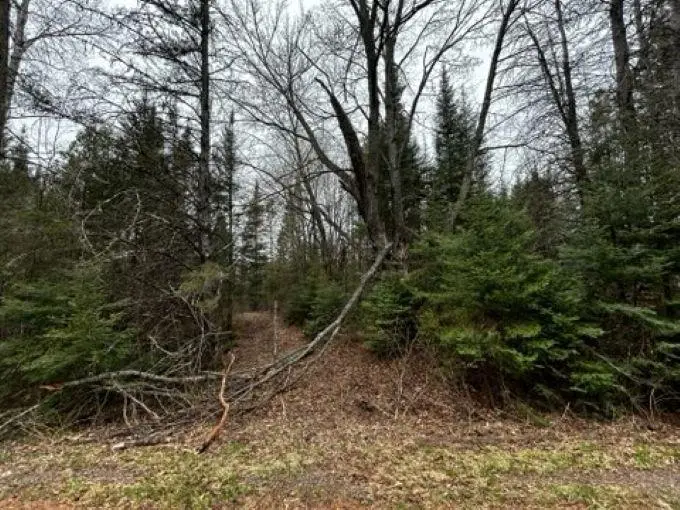 5 Ac On Timber Wolf Rd, Presque Isle, WI 54557 - #3