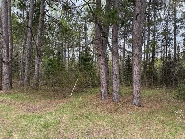 LOT ON Hwy 51, Oma, WI 54534