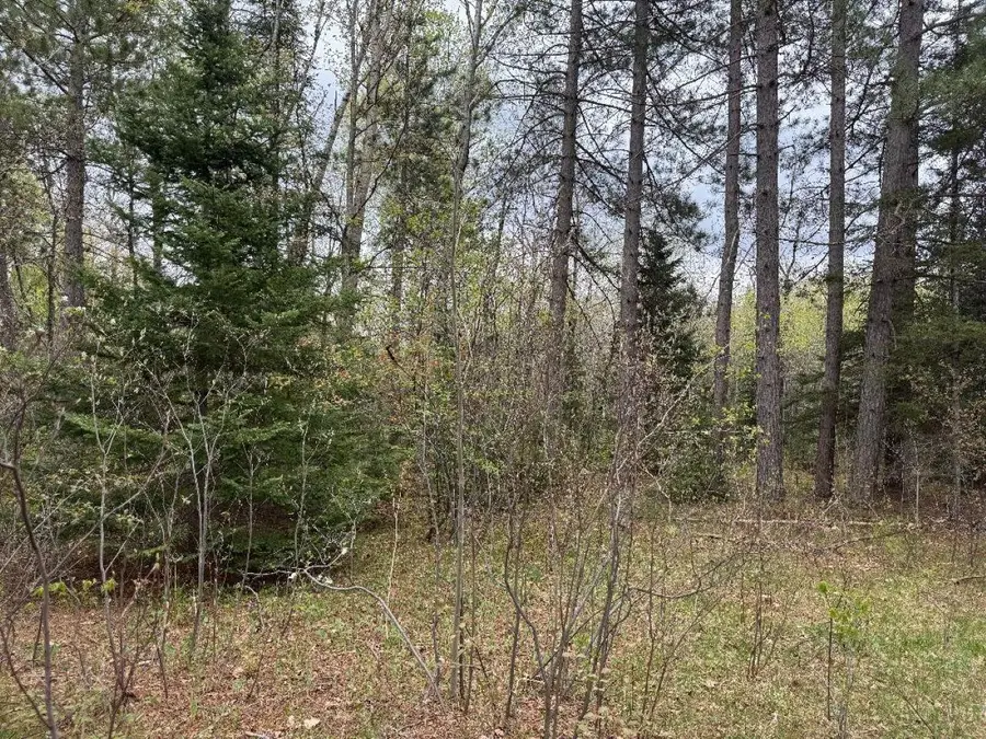 LOT ON Hwy 51, Oma, WI 54534 - #3