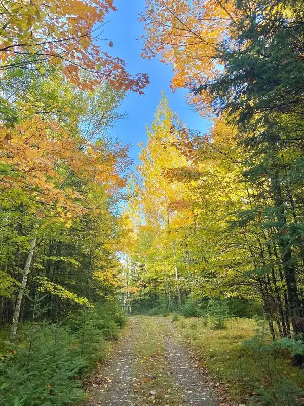 3249W Tahoe Cr, Mercer, WI 54547