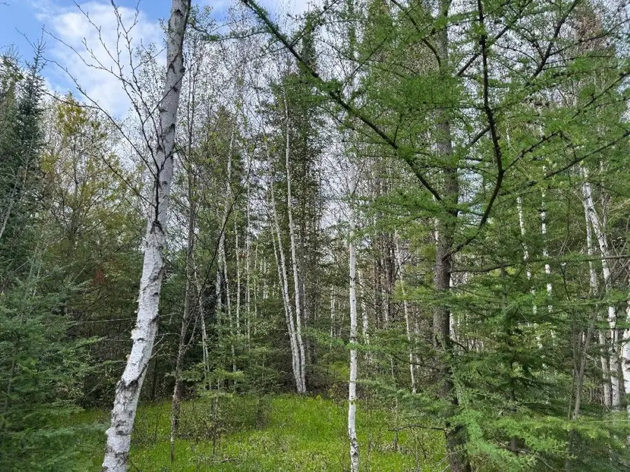 3249W Tahoe Cr, Mercer, WI 54547 - #2