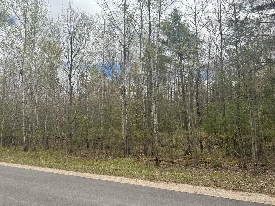 Lot 2A Deer Tr, Eagle River, WI 54521 - #2