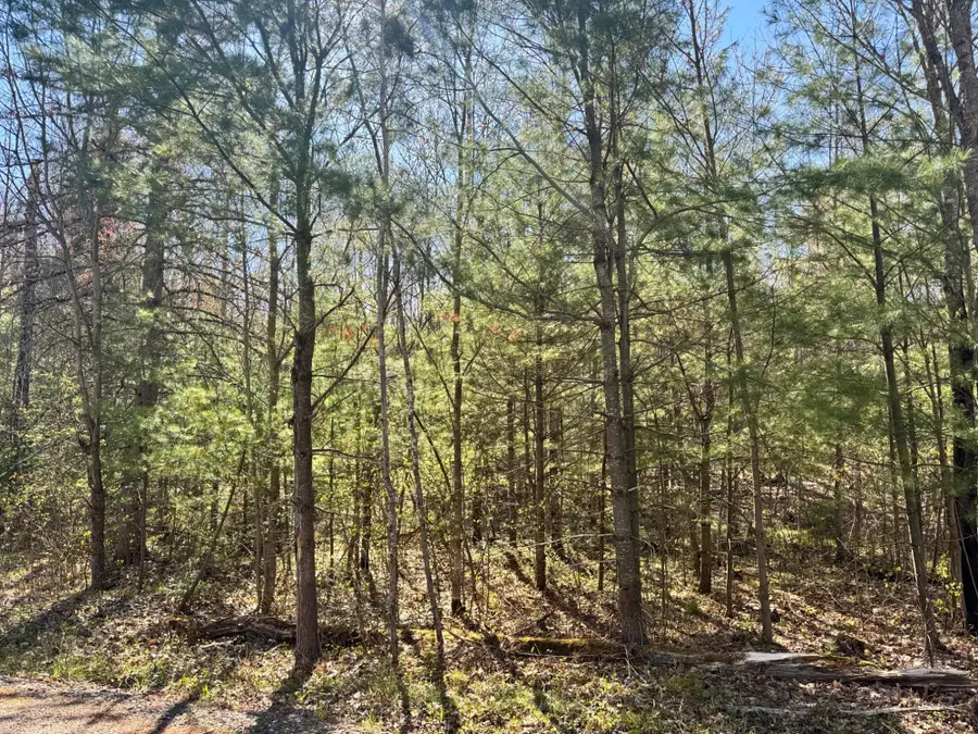 Lot 2A Deer Tr, Eagle River, WI 54521 - #3