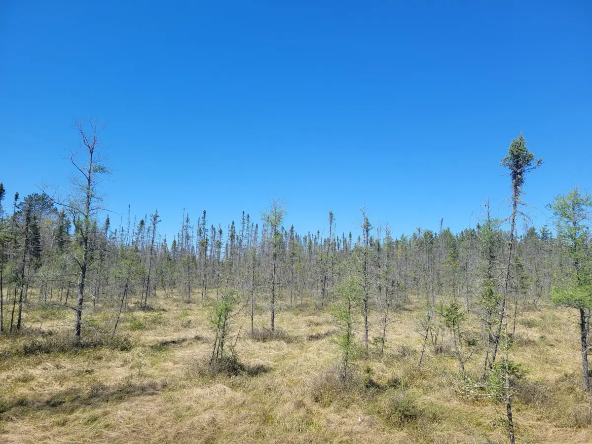 ON Cth G, Eagle River, WI 54521 - #1