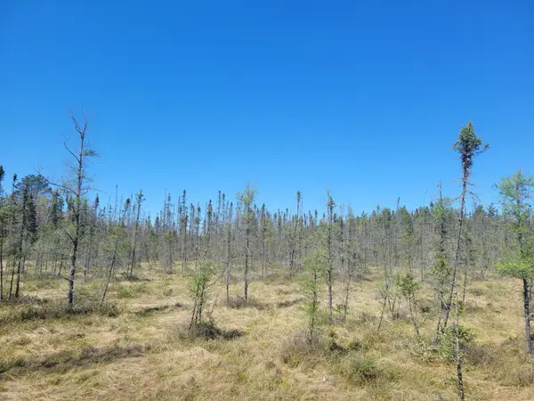 ON Cth G, Eagle River, WI 54521