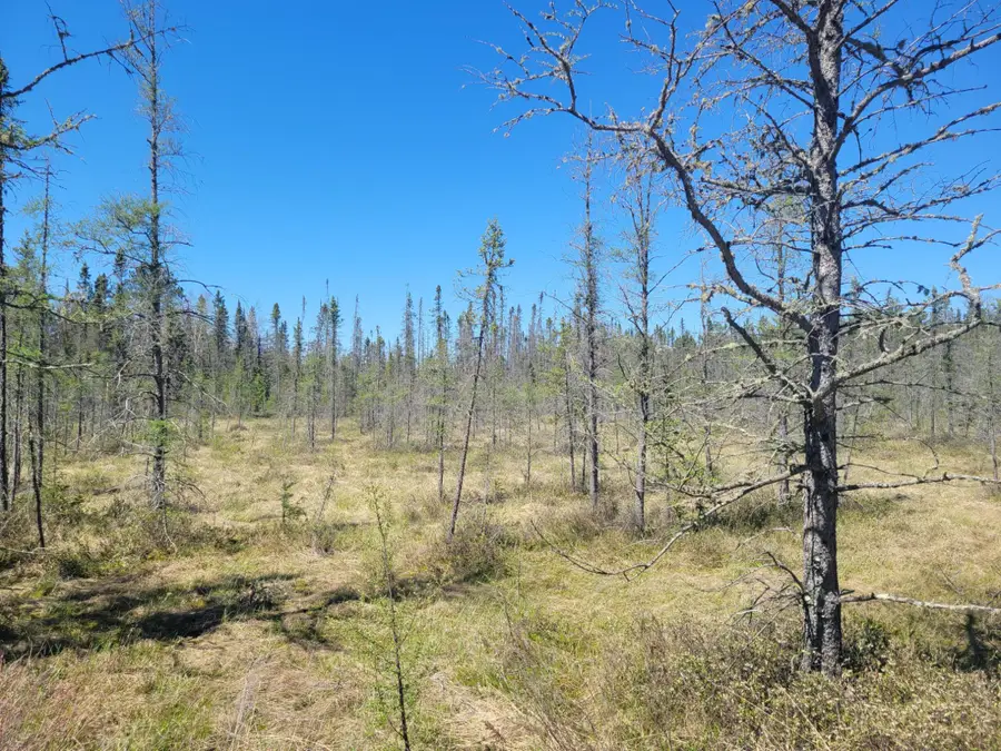 ON Cth G, Eagle River, WI 54521 - #2