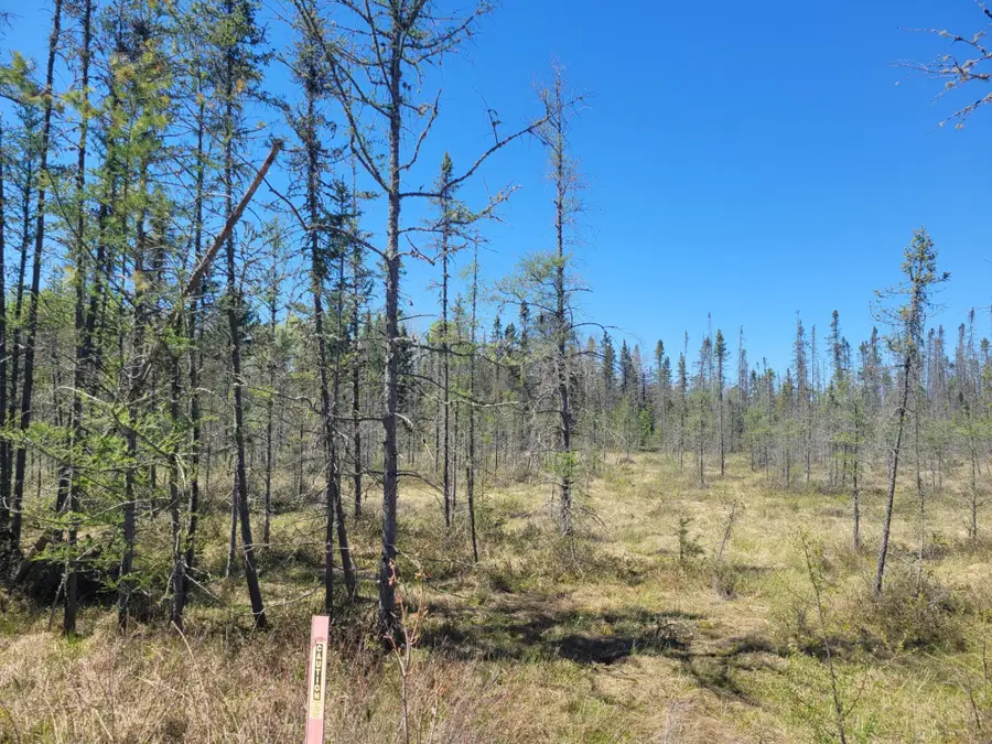 ON Cth G, Eagle River, WI 54521 - #3