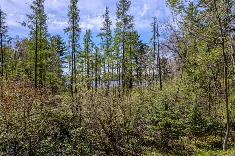 Lot 5 Little Bearskin Rd, Rhinelander, WI 54501 - #2