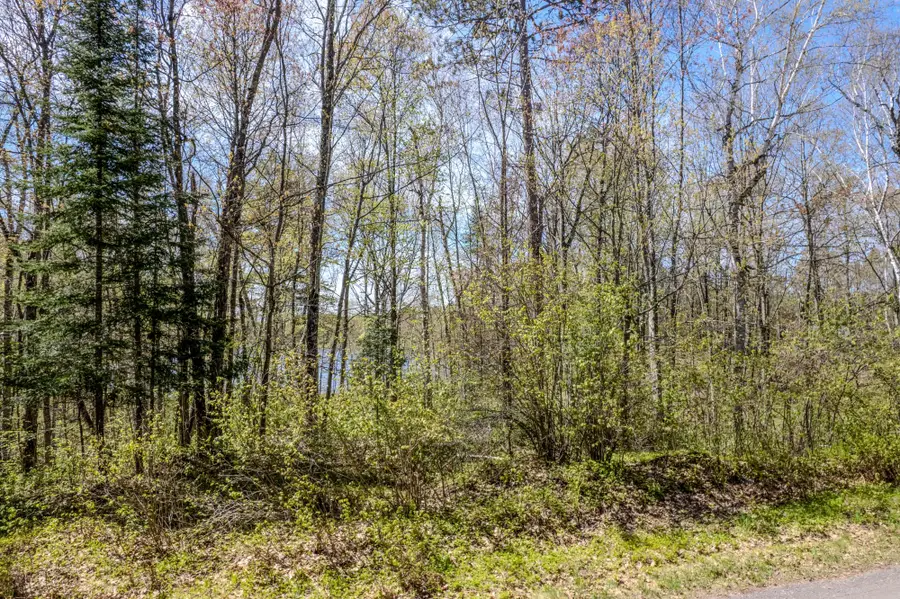 Lot 2 Little Bearskin Rd, Harshaw, WI 54529 - #3