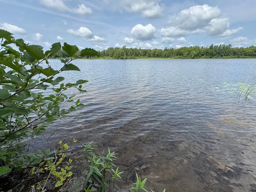 1992W Diamond Rd, Mercer, WI 54547 - #2