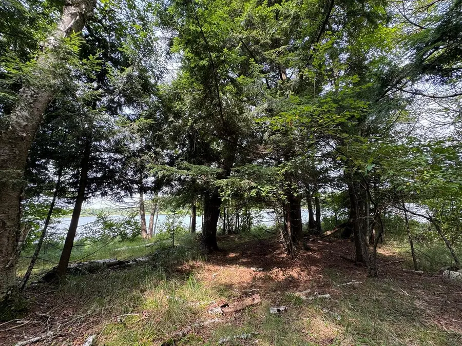 1992W Diamond Rd, Mercer, WI 54547 - #3