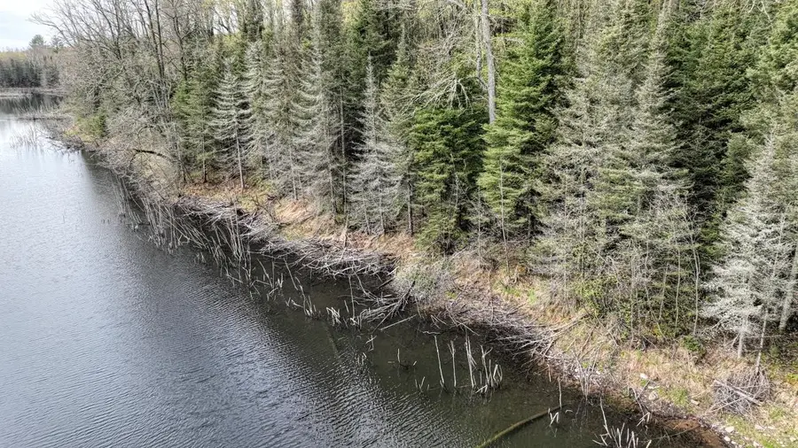 ON Ottawa Ln #Lot 5, Land O Lakes, WI 54540 - #2