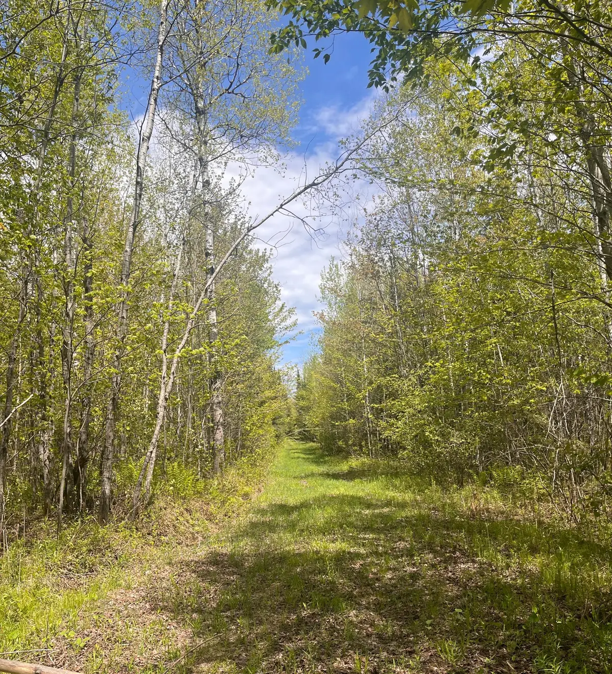80 acres Clausen Rd, Prentice, WI 54556 - #1