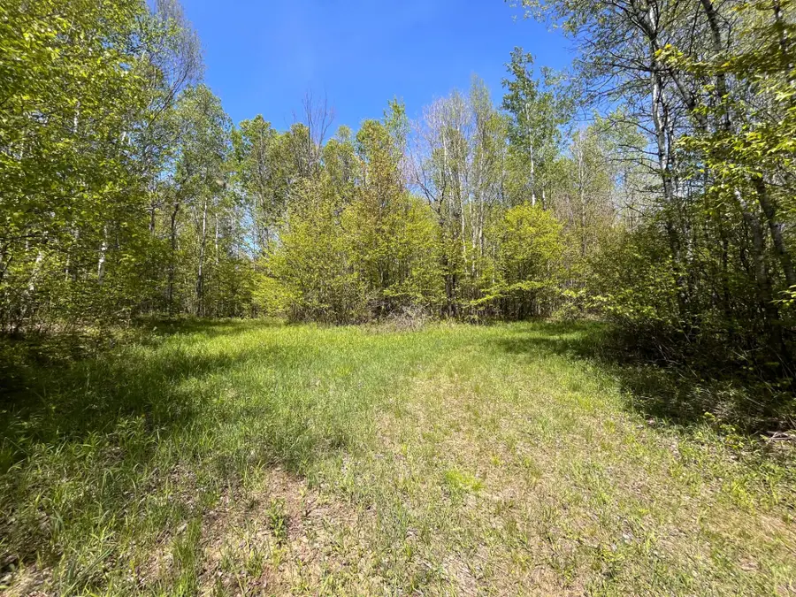 80 acres Clausen Rd, Prentice, WI 54556 - #2