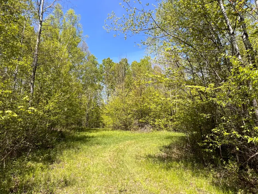 80 acres Clausen Rd, Prentice, WI 54556 - #3